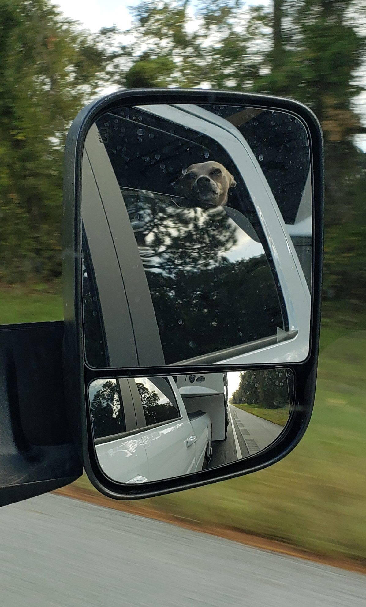 Pivots on the Road: Where We’ve Been and Where We’re Going