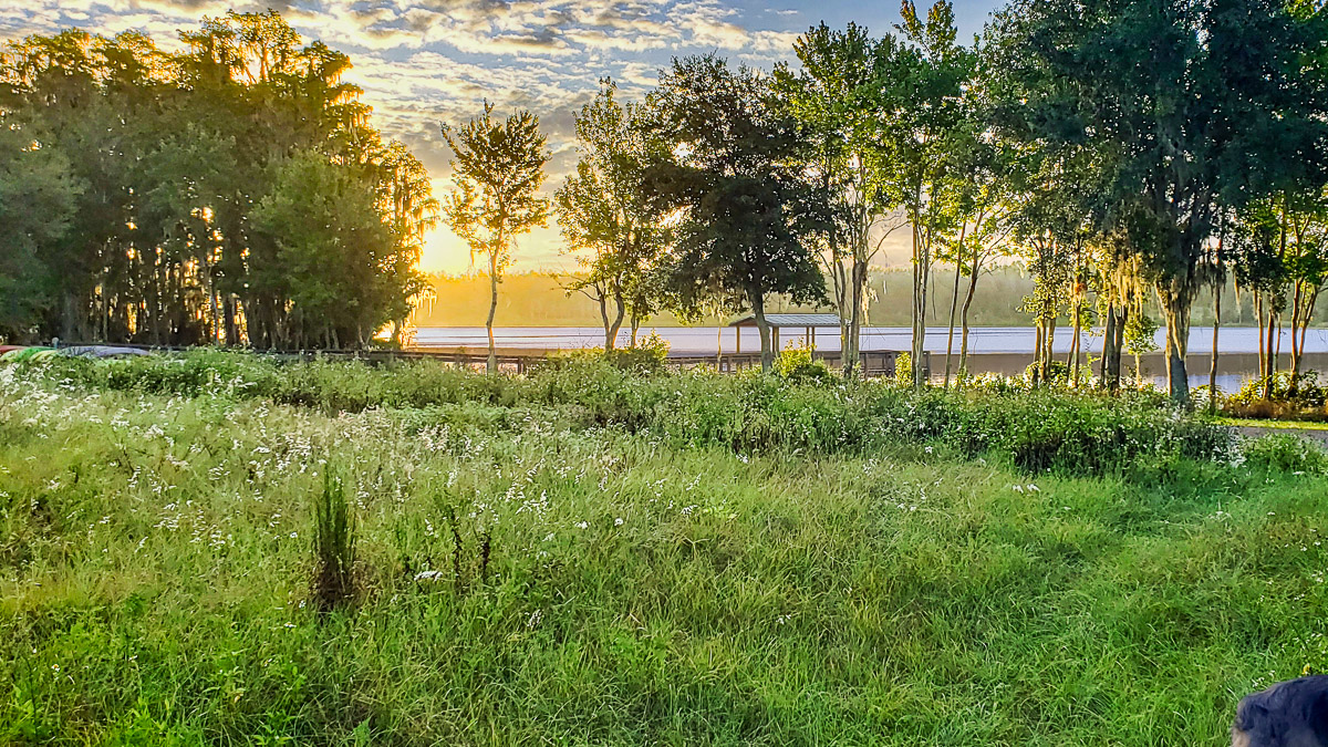 Golden hour sunset over Dixie Lake at Lake Louisa State Park with low sunlight illuminating trees along the shoreline and rolling sandhill grass in the foreground.